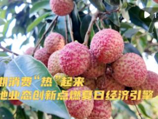新华视点｜暑期消费“热”起来 多地业态创新点燃夏日经济引擎