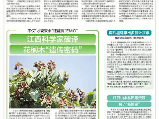 江西科学家破译花榈木“遗传密码”