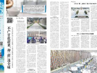 好山东丨德州禹城：不产甘蔗甜菜,却“甜”透全球