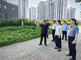 金湖县黎城街道：委员工作室搭起连心桥 荒地变身创业“聚宝盆”