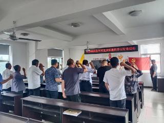 莒南县岭泉镇组织开展“庆七一”系列活动