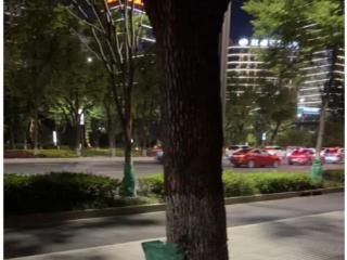 40℃连击！杭州街头突现“绿肚兜”！市民：给我也来一个就好了…