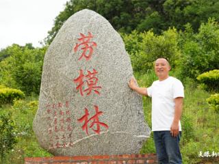 我家有片“林”｜“一亩茶”榨出4000多斤油