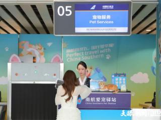 7月起，贵阳旅客乘南航可带宠物进客舱