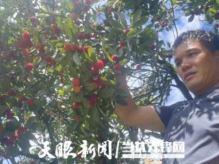 遵义市赤水市元厚镇：水果产业带来甜蜜生活