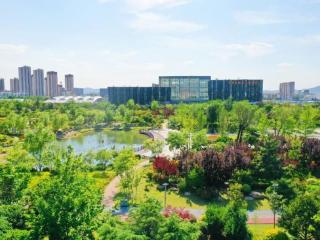日照高新区：打造体育品牌，擦亮高新名片