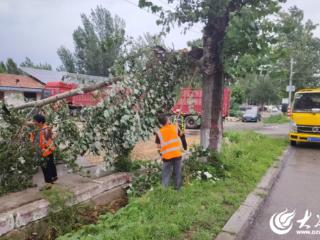 德州公路城区分中心及时处置强对流天气道路安全隐患