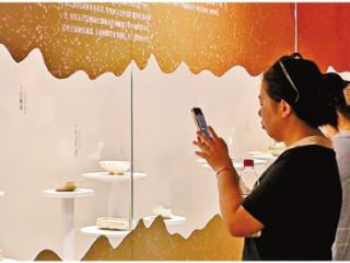 2024年度杭州考古成果展来了