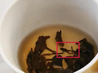 从“新茶饮第一股”到深陷业绩泥潭，奈雪的茶光环渐失
