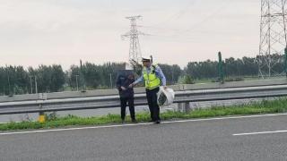 惊险！老人中央隔离带挖野菜 民警及时处置除隐患