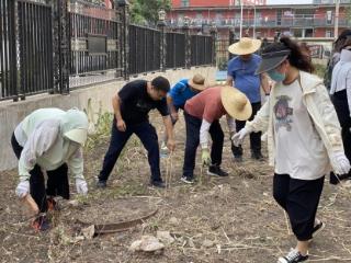 清洁家园 代表先行 | 济宁市任城区金城街道人大工委开展卫生环境整治活动