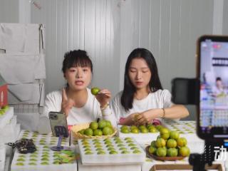 从三个全国第一看“两山”转化路径