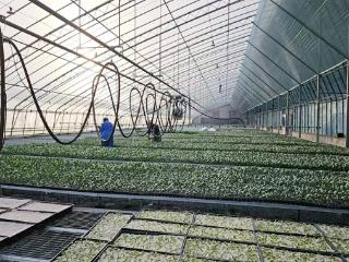 工行临沂分行乡村振兴注活力 普惠金融展风采