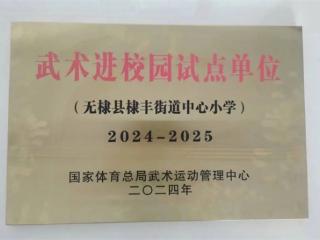 无棣县棣丰街道中心小学荣获“武术进校园试点单位”荣誉称号