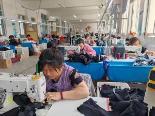 跨村联建整合资源，嘉祥县探索共富公司模式助乡村连片振兴