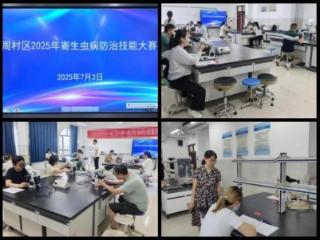 齐鲁医药学院：专业赋能，助力周村区2025年寄生虫病防治技能大赛