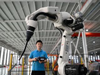 杜红：突破关键核心技术加快实现高水平科技自立自强