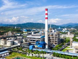 激活“绿动”未来丨访贵州省循环经济协会副会长兼秘书长冯宗伦