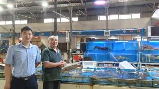 烟台农商银行精准施策解难题 金融活水助海鲜商户“游”向大市场