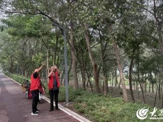 德州锦绣川景区全面启动绿化提升行动 开启颜值焕新之旅