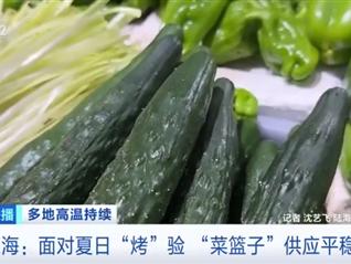 面对夏日“烤”验 上海时令蔬菜、海鲜供应平稳