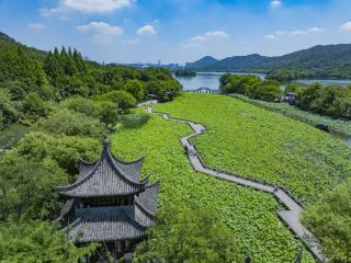 湘湖九曲桥上赏荷，摇橹船里寻梦，真是神仙画面