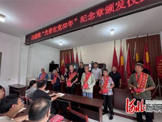 元氏县北褚镇举行“光荣在党50年”纪念章颁发仪式