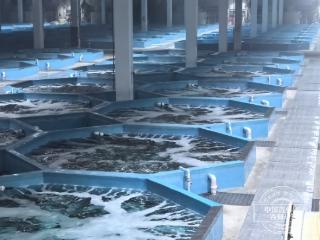 开放篇：深化开放拓前路 延边产业跃升聚力谋发展启新程