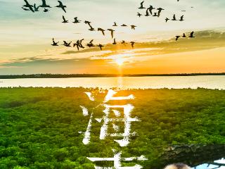 三省“绿”动朋友圈｜海南物种名单，持续“上新”