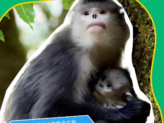 【生物多样性】摊牌了，贵州的“显眼包”！
