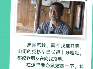 山间有来信｜秃杉的守护：雷公山迎来绿色传奇