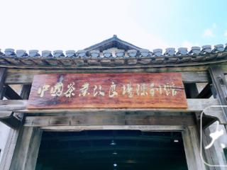 寻根祁门红茶｜探百年茶业摇篮，访万里茶道安徽起点
