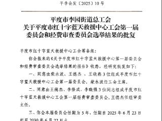 青岛平度：红十字蓝天救援中心工会正式成立