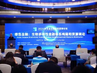 复旦大学特聘教授陈诗一：贵州推动绿色金融发展力度超前｜2025年生态文明贵阳国际论坛