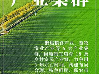 海报丨@农民朋友 河南助农政策守护你