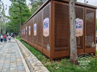 新民大街开街｜电力文化扮靓新民大街