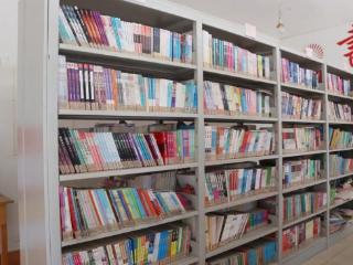 文明实践我行动丨九户镇开展“书香致远 悦读赋能”主题阅读活动