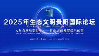 “多边开发银行改革与气候融资的协同增效”议题 专家有话说｜2025年生态文明贵阳