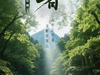 二十四节气|AI游陕西 小暑推荐：牛背梁国家森林公园