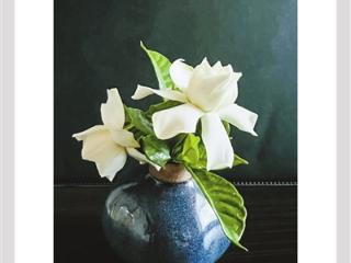 栀子花，开啦