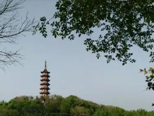 读城记|村不在大，有圣则名