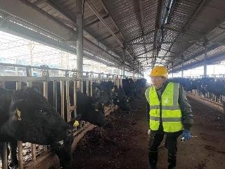 绘就乡村振兴好“丰”景！黔西市特色产业蓬勃发展