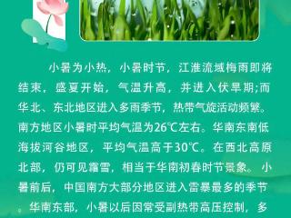 节气里的大美中国｜小暑