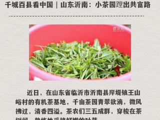跟着央媒看沂南第（16）期：高温中送清凉