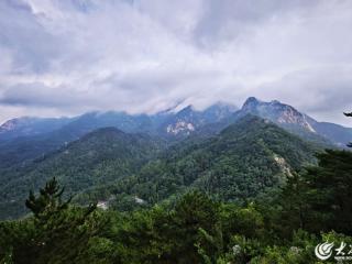 逃离热浪！这个夏天 来岱顶“清凉一夏”