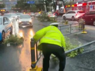 应对雷暴大风天气 十堰交警清障保畅