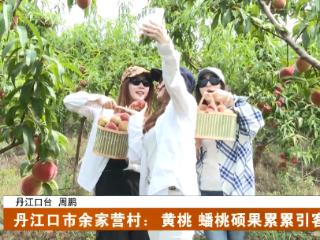 丹江口市余家营村：桃园果香引客来