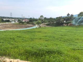 云台山景区：昔日宕口披绿装 生态疮疤焕生机