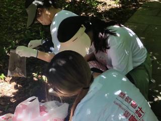 杭州大学生在半山森林公园开展森林可燃物调查