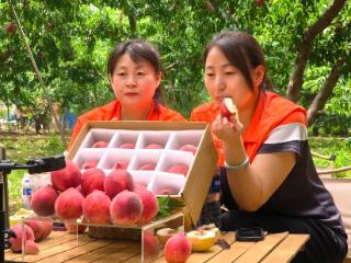 全村的希望！申通成“村”红，卖光整村西瓜和桃子